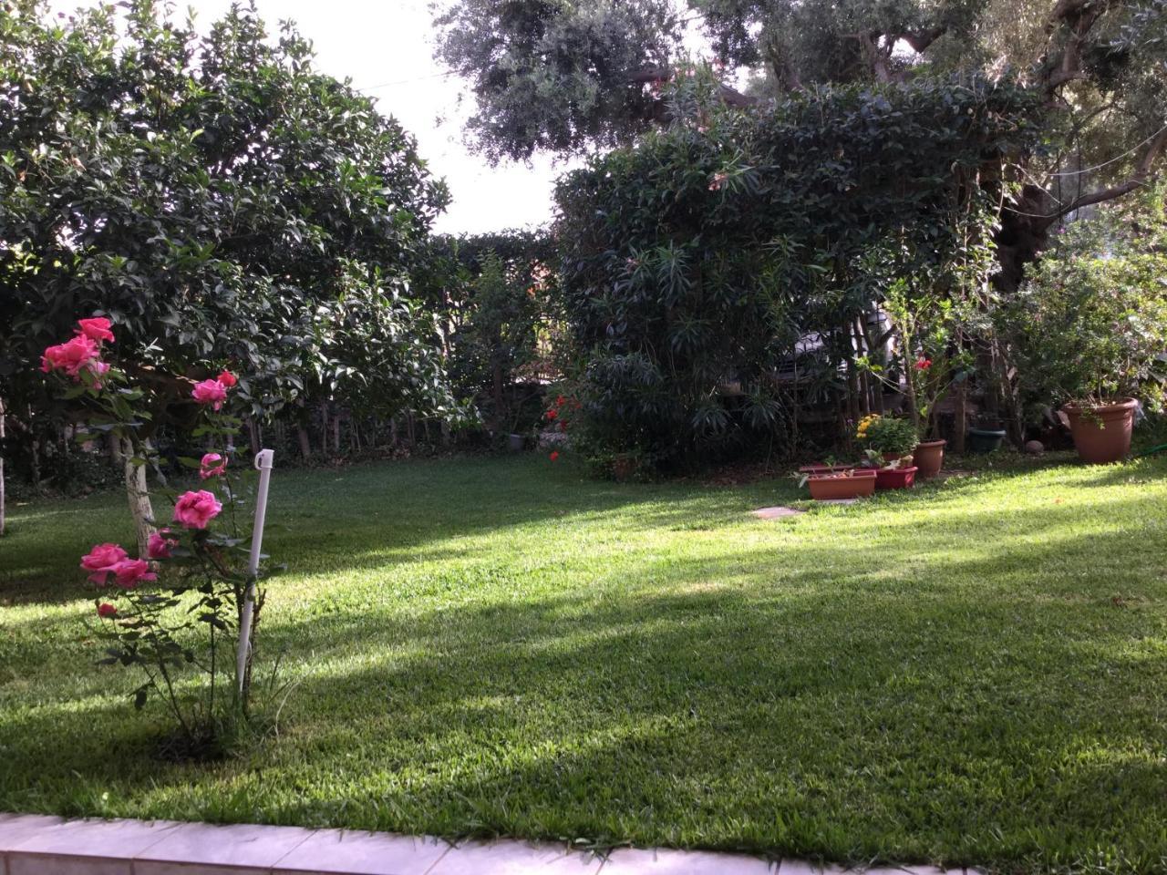 Ntinas House Daire Tsoukaládhes Dış mekan fotoğraf